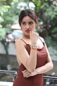 Actress Sony Charishta Stills @ Iddaru Pre Release