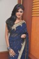 Sony Charishta in Blue Saree Stills