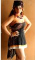 Telugu Actress Sony Charishta Photoshoot Stills