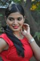 Actress Sanchita Shetty at Soodhu Kavvum Press Meet Stills