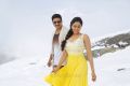 Gopichand, Regina Cassandra in Soukyam Movie Stills