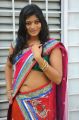 Actress Soumya Hot Photos in Designer Saree