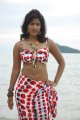 Soumya Bollapragada Hot Bikini Beach Stills