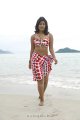 Soumya Bollapragada Hot Bikini Beach Stills