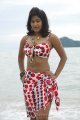 Soumya Bollapragada Hot Bikini Beach Stills