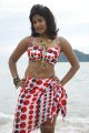 Soumya Bollapragada Hot Bikini Beach Stills