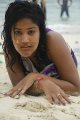 Soumya Bollapragada Hot Bikini Beach Stills