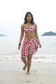 Soumya Bollapragada Hot Bikini Beach Stills