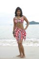 Soumya Bollapragada Hot Bikini Beach Stills