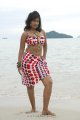 Soumya Bollapragada Hot Bikini Beach Stills