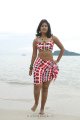 Soumya Bollapragada Hot Bikini Beach Stills