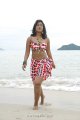 Soumya Bollapragada Hot Bikini Beach Stills