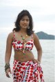 Soumya Bollapragada Hot Bikini Beach Stills