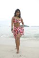 Soumya Bollapragada Hot Bikini Beach Stills