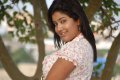 Soumya Bollapragada Cute Photo Shoot Pics