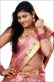 Telugu Actress Soumya Hot Silk Saree Photoshoot Pics