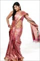Telugu Actress Soumya Hot Silk Saree Photoshoot Pics