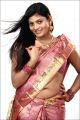 Telugu Actress Soumya Hot Silk Saree Photo Shoot Pics