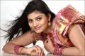 Telugu Actress Soumya Silk Saree Photo Shoot Pics