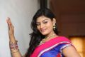 Telugu Actress Sowmya Hot Stills @ Pochampally IKAT Art Mela