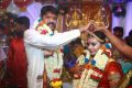 Actor Soundararaja Tamanna Wedding Photos