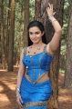 Mallukattu Movie Actress Soundarya Honey Rose Hot Pics