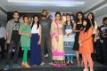 South Scope 2014 Calendar Launch Stills