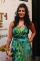 Varalaxmi Sarathkumar At Southscope Calendar launch 2013 Stills