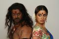 Srikanth, Lakshmi Rai in Sowkarpettai Tamil Movie Stills