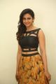 Rakul Preet Singh @ Speedunnodu Movie Audio Launch Photos