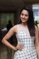 Actress Rakul Preet Singh @ Spyder Press Meet Chennai Stills