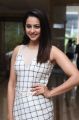 Actress Rakul Preet Singh @ Spyder Press Meet Chennai Stills