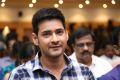 Actor Mahesh Babu @ Spyder Press Meet Chennai Stills