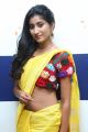 Telugu Model Sravani Yadav Hot in Yellow Saree Stills