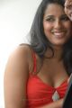 Telugu Actress Sravya Reddy Hot Photos at NRI Platinum