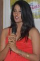 Telugu Actress Shravya Reddy Hot Photos at NRI Platinum