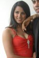 Actress Sravya Reddy Hot Photos in Red Dress