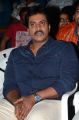 Sunil @ Sree Ramaraksha Song Launch Stills