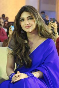 Actress Sreeleela Blue Saree Photos @ AAY Pre Release Event