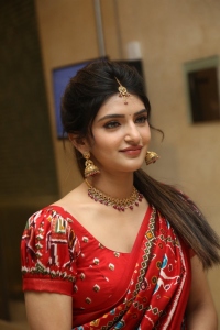 Sreeleela Cute Saree Stills @ Bhagavanth Kesari Success Celebration