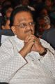 SP Balasubramaniam at Sri Kala Sudha Telugu Association Awards 2013 Photos