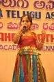 Sri Kala Sudha Telugu Association Awards 2013 Photos