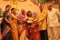 Sri Kala Sudha Telugu Association Awards 2013 Photos