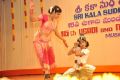 Sri Kala Sudha Telugu Association Awards 2013 Photos