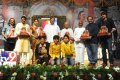 Sri Rama Rajyam 50 Days Pictures