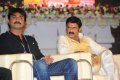 Sri Rama Rajyam 50 Days Event Stills