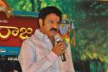 Sri Rama Rajyam Success Meet Pictures