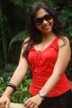 Sri Ramya Telugu Actress Photos Stills