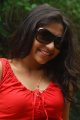 Sri Ramya Telugu Actress Photos Stills