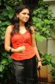 Sri Ramya Telugu Actress Photos Stills